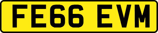 FE66EVM
