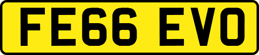 FE66EVO