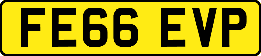 FE66EVP