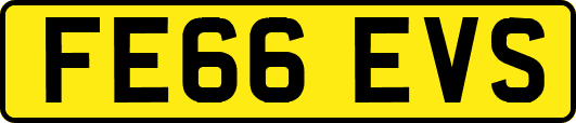FE66EVS