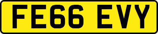 FE66EVY