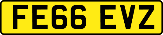FE66EVZ