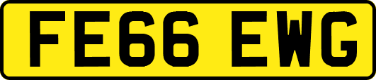 FE66EWG
