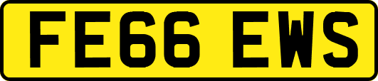 FE66EWS