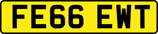 FE66EWT