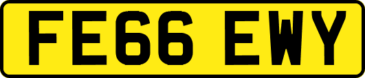FE66EWY