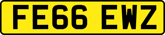 FE66EWZ