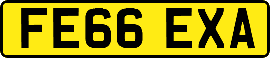 FE66EXA