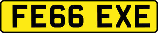 FE66EXE