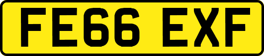 FE66EXF