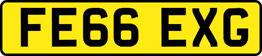 FE66EXG