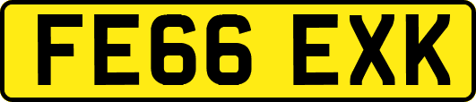 FE66EXK