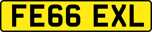 FE66EXL