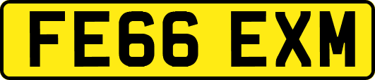 FE66EXM
