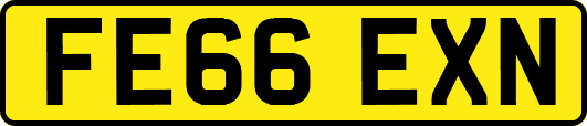 FE66EXN