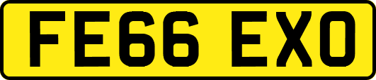 FE66EXO