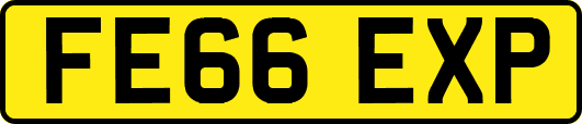 FE66EXP