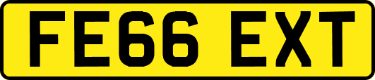FE66EXT