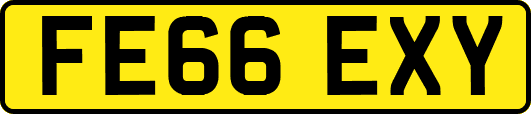 FE66EXY