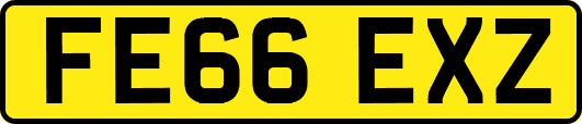 FE66EXZ