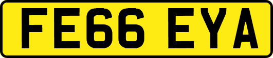 FE66EYA