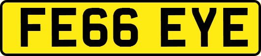 FE66EYE