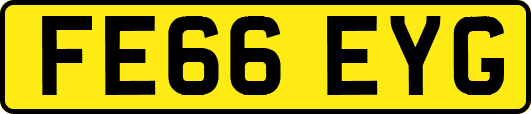 FE66EYG