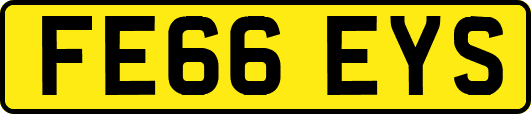 FE66EYS