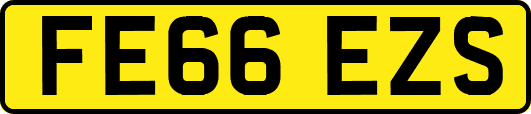 FE66EZS