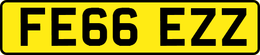 FE66EZZ