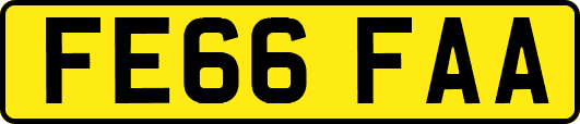 FE66FAA
