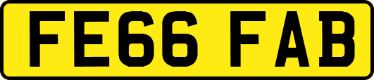 FE66FAB