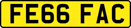 FE66FAC