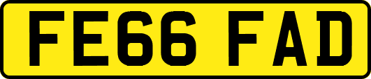 FE66FAD