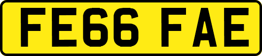 FE66FAE