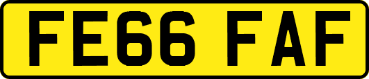 FE66FAF