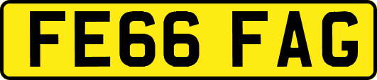 FE66FAG