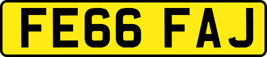 FE66FAJ