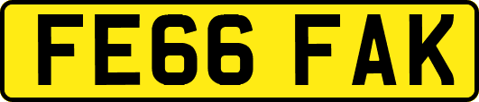 FE66FAK