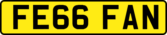 FE66FAN