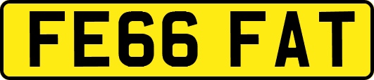 FE66FAT
