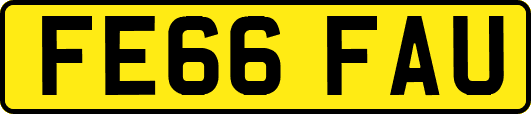 FE66FAU