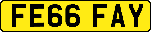 FE66FAY