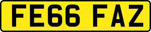 FE66FAZ