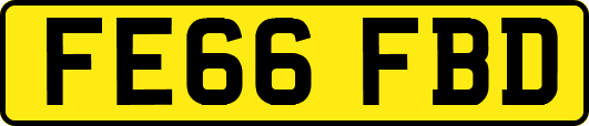 FE66FBD