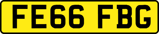 FE66FBG