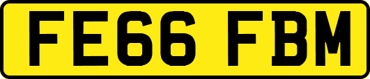 FE66FBM