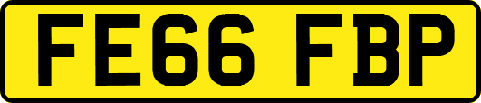 FE66FBP