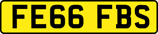 FE66FBS