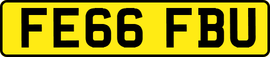 FE66FBU